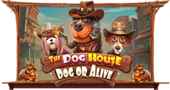 The Dog House  Dog or Alive